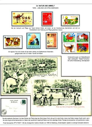 OUR CHILDREN - THE FIRST 10 YEARS OF LIFE – sheet 54