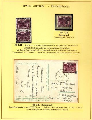RENAISSANCE-JAHR – Blatt 12