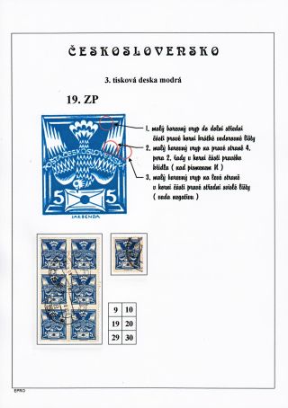 DIE TAUBE 5 H - 3. DRUCKPLATTE - STUDIE – Blatt 34