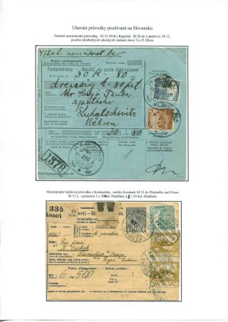 THE FIRST YEAR OF CZECHOSLOVAKIA – sheet 48
