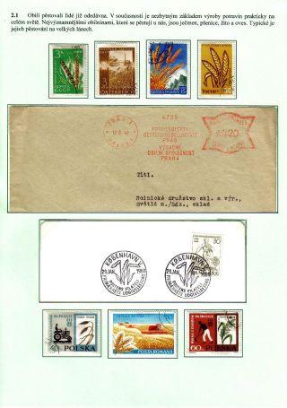 VÝŽIVA LIDSTVA – list 5