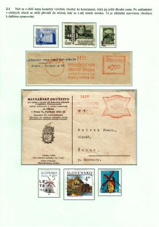 VÝŽIVA LIDSTVA – list 6