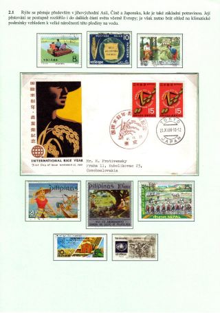 VÝŽIVA LIDSTVA – list 11