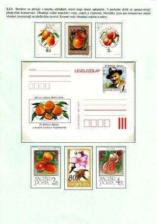 VÝŽIVA LIDSTVA – list 16
