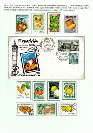 ERNÄHRUNG DIE MENSCHHEIT – Blatt 21
