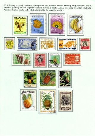 ERNÄHRUNG DIE MENSCHHEIT – Blatt 22