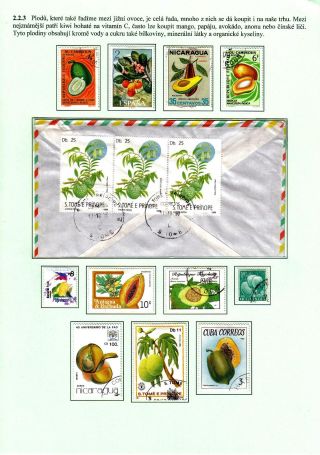 ERNÄHRUNG DIE MENSCHHEIT – Blatt 23