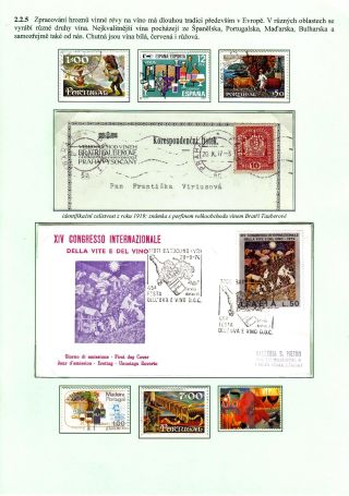 ERNÄHRUNG DIE MENSCHHEIT – Blatt 27