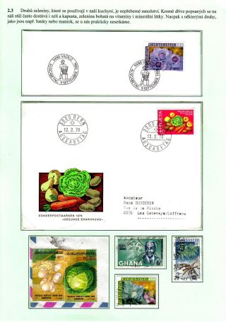 ERNÄHRUNG DIE MENSCHHEIT – Blatt 32