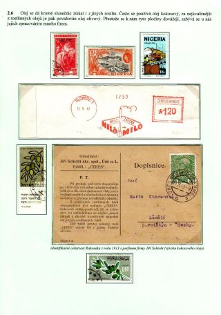 ERNÄHRUNG DIE MENSCHHEIT – Blatt 39