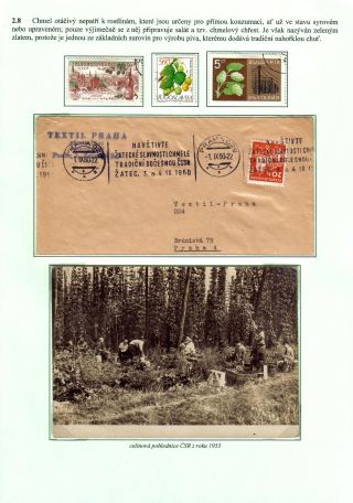 ERNÄHRUNG DIE MENSCHHEIT – Blatt 45