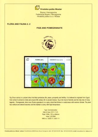 HARMONY IN DIVERSITY – sheet 11