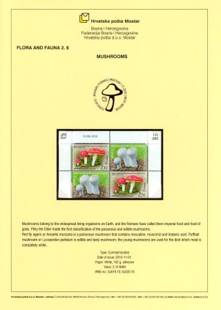 HARMONY IN DIVERSITY – sheet 15
