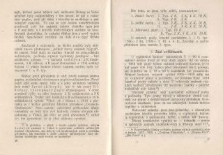 MONOGRAPH POSTA CESKOSLOVENSKA 1919 (J. LESETICKY, 1920) – sheet 10