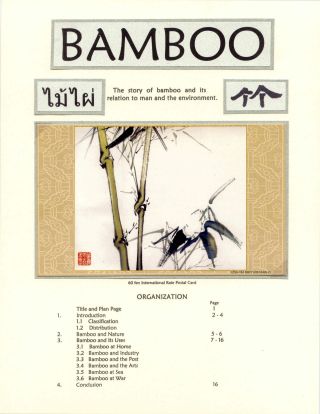 DER BAMBUS – Blatt 1