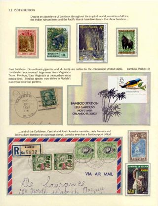 DER BAMBUS – Blatt 3