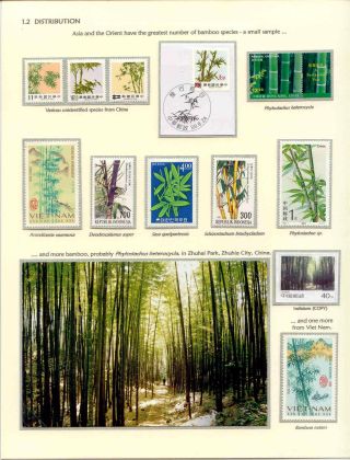 DER BAMBUS – Blatt 4