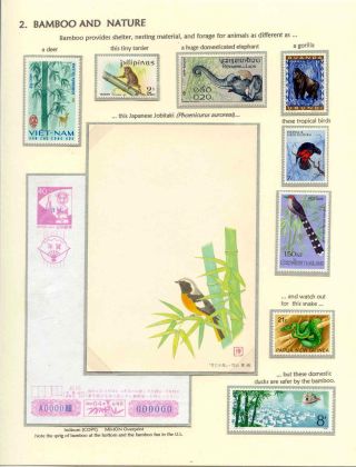 DER BAMBUS – Blatt 5