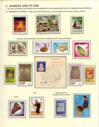 DER BAMBUS – Blatt 7