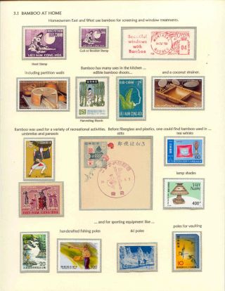DER BAMBUS – Blatt 8