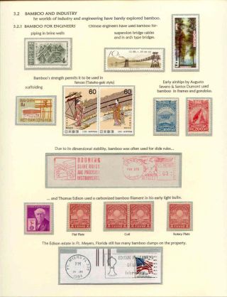 DER BAMBUS – Blatt 9
