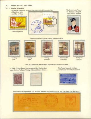 DER BAMBUS – Blatt 10
