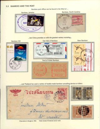 DER BAMBUS – Blatt 11