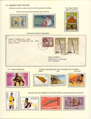 DER BAMBUS – Blatt 14
