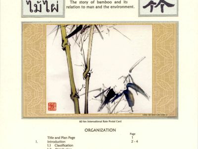 BAMBOO