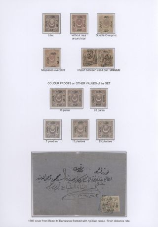 OSMANISCHES REICH - "DULOZ" AUSGABEN 1865-1882 – Blatt 8