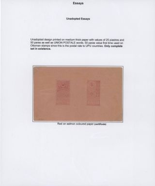 OSMANISCHES REICH - U.P.U. AUSGABEN 1876-1891 – Blatt 3