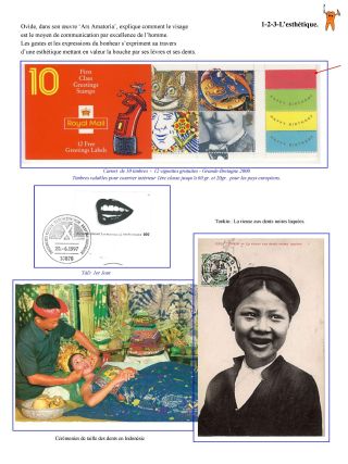 MEINE ZÄHNE .... AL DENTE ! (ODER WIE KIEFERHEILKUNDE - ZAHNÄRZTLICHE WIRD DURCH DEN ZAHN ZU SEHEN) – Blatt 10