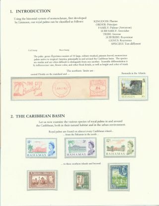 PALMA KRÁLOVSKÁ – list 3