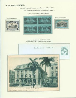 PALMA KRÁLOVSKÁ – list 12