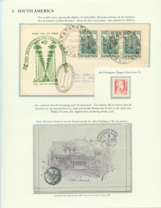 PALMA KRÁLOVSKÁ – list 15