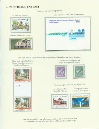 PALMA KRÁLOVSKÁ – list 17