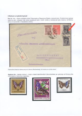 MOTÝLI A MYTOLOGIE – list 6