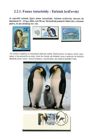 POLÁRNÍ OBLASTI – list 23