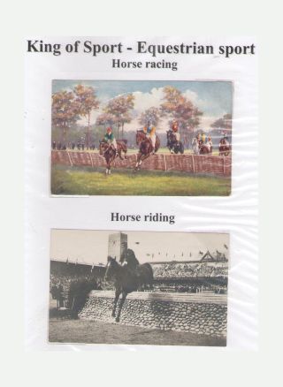 THE KING OF SPORT - EQUESTRIAN SPORT – sheet 1