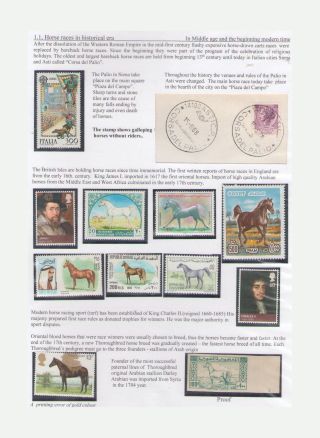THE KING OF SPORT - EQUESTRIAN SPORT – sheet 7