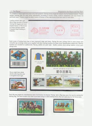THE KING OF SPORT - EQUESTRIAN SPORT – sheet 11