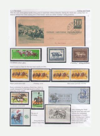 THE KING OF SPORT - EQUESTRIAN SPORT – sheet 12