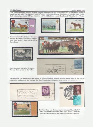 THE KING OF SPORT - EQUESTRIAN SPORT – sheet 15