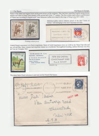 THE KING OF SPORT - EQUESTRIAN SPORT – sheet 16