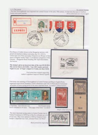 THE KING OF SPORT - EQUESTRIAN SPORT – sheet 19