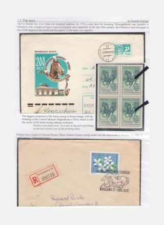 THE KING OF SPORT - EQUESTRIAN SPORT – sheet 21