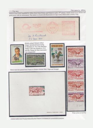 THE KING OF SPORT - EQUESTRIAN SPORT – sheet 25