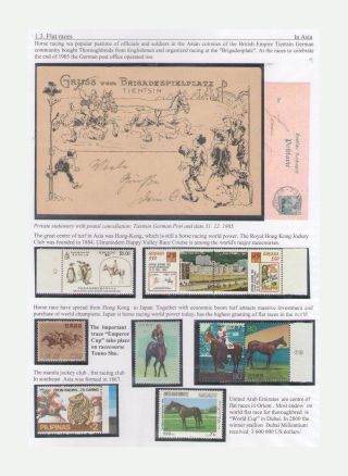 THE KING OF SPORT - EQUESTRIAN SPORT – sheet 27