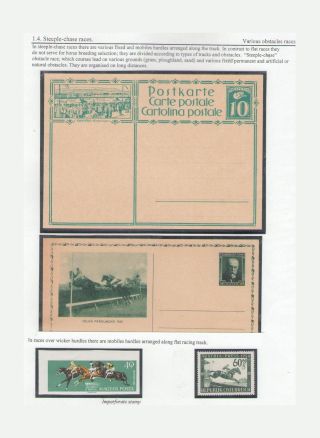 THE KING OF SPORT - EQUESTRIAN SPORT – sheet 28