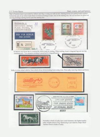 THE KING OF SPORT - EQUESTRIAN SPORT – sheet 32